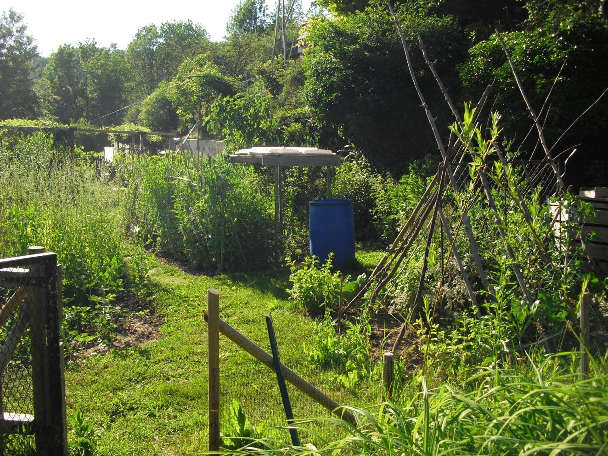 La Maison Imparfaite Fourbanne Bagian luar foto