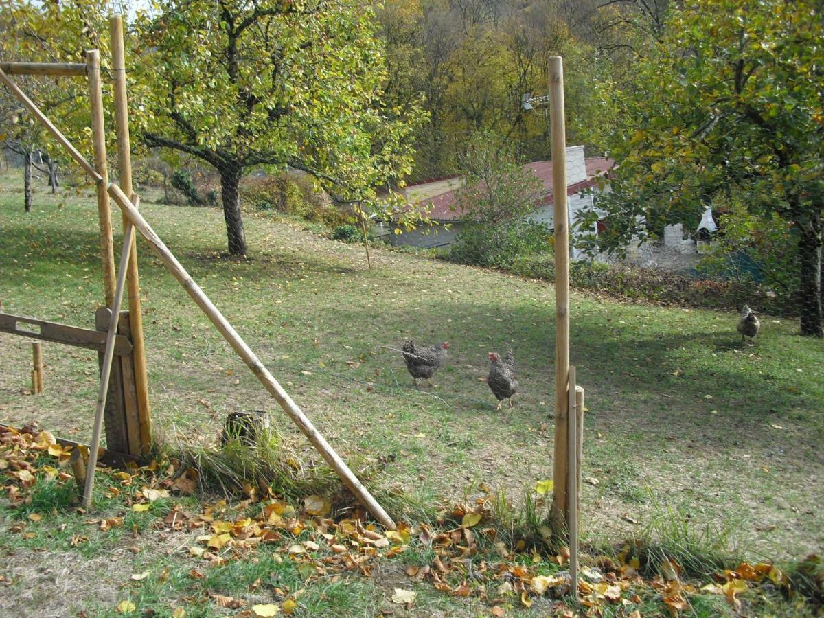 La Maison Imparfaite Fourbanne Bagian luar foto